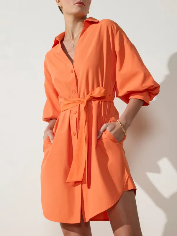 The Kate Belted Dress sold by Brochu Walker