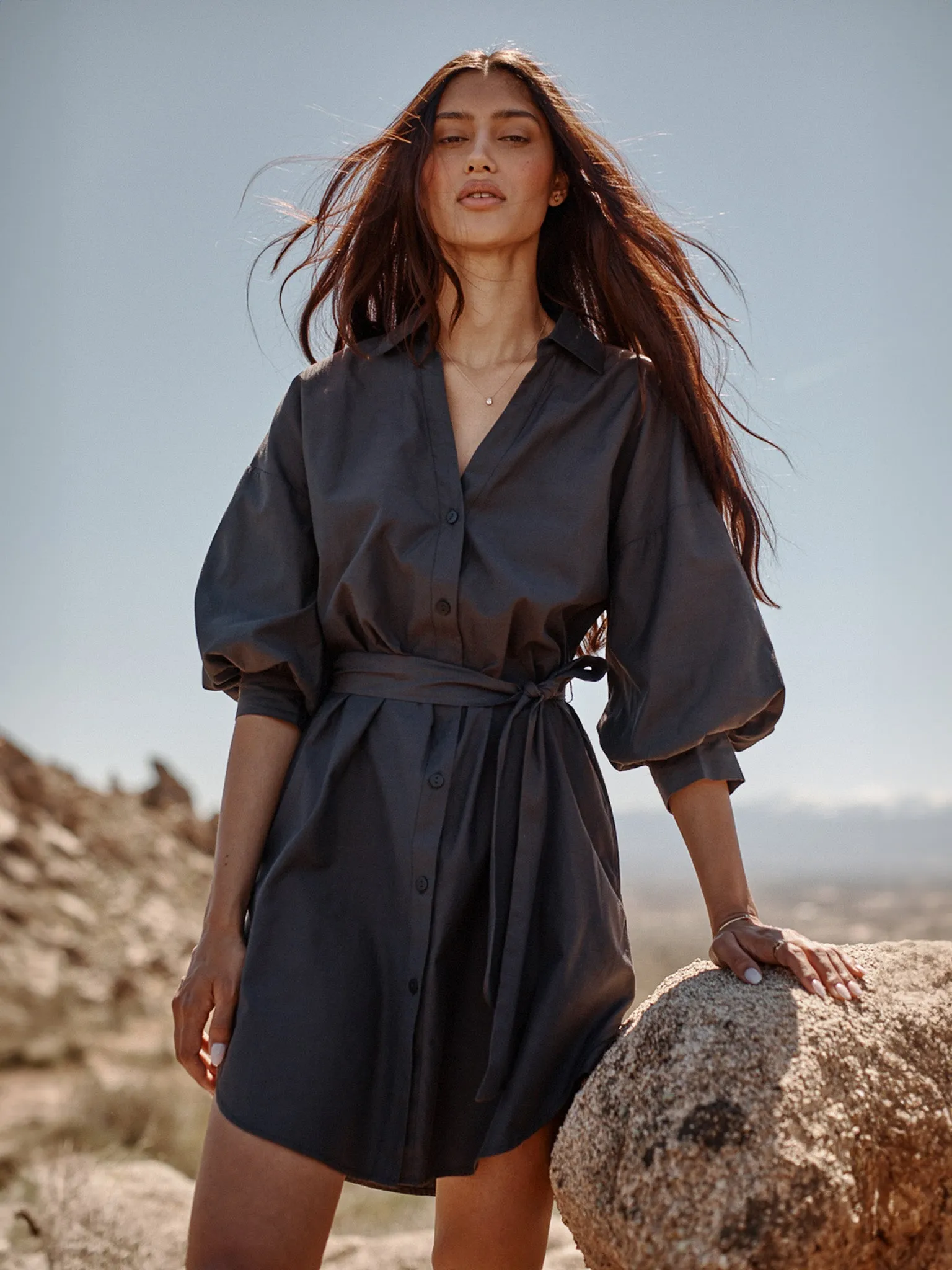 The Kate Belted Dress sold by Brochu Walker product image thumbnail 2