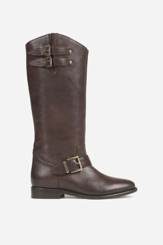 Fe-lise | coffee bean sold by Bronx