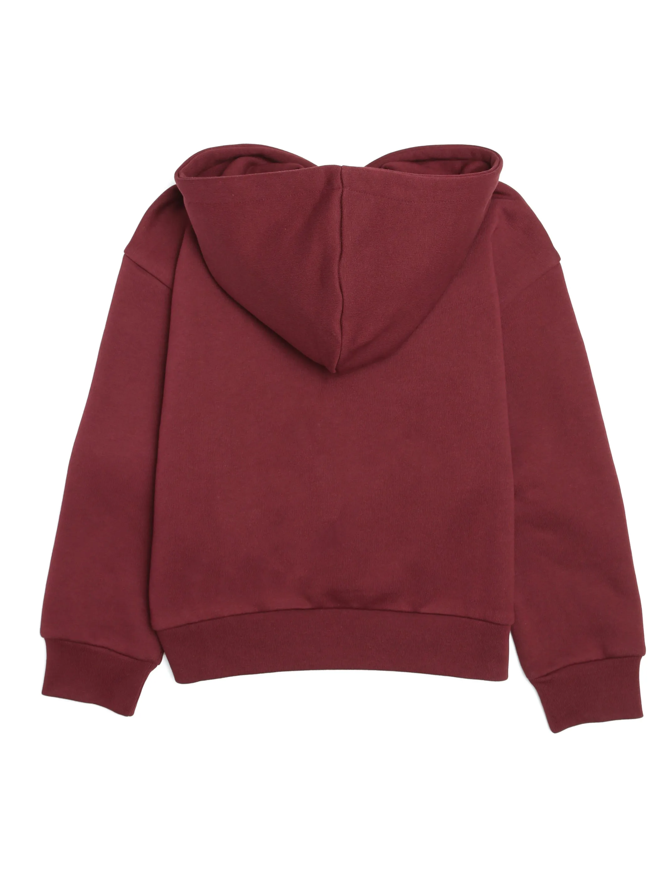 Boy's Water Tower Hoodie in Tawny Port sold by Brooklyn Industries product image thumbnail 2