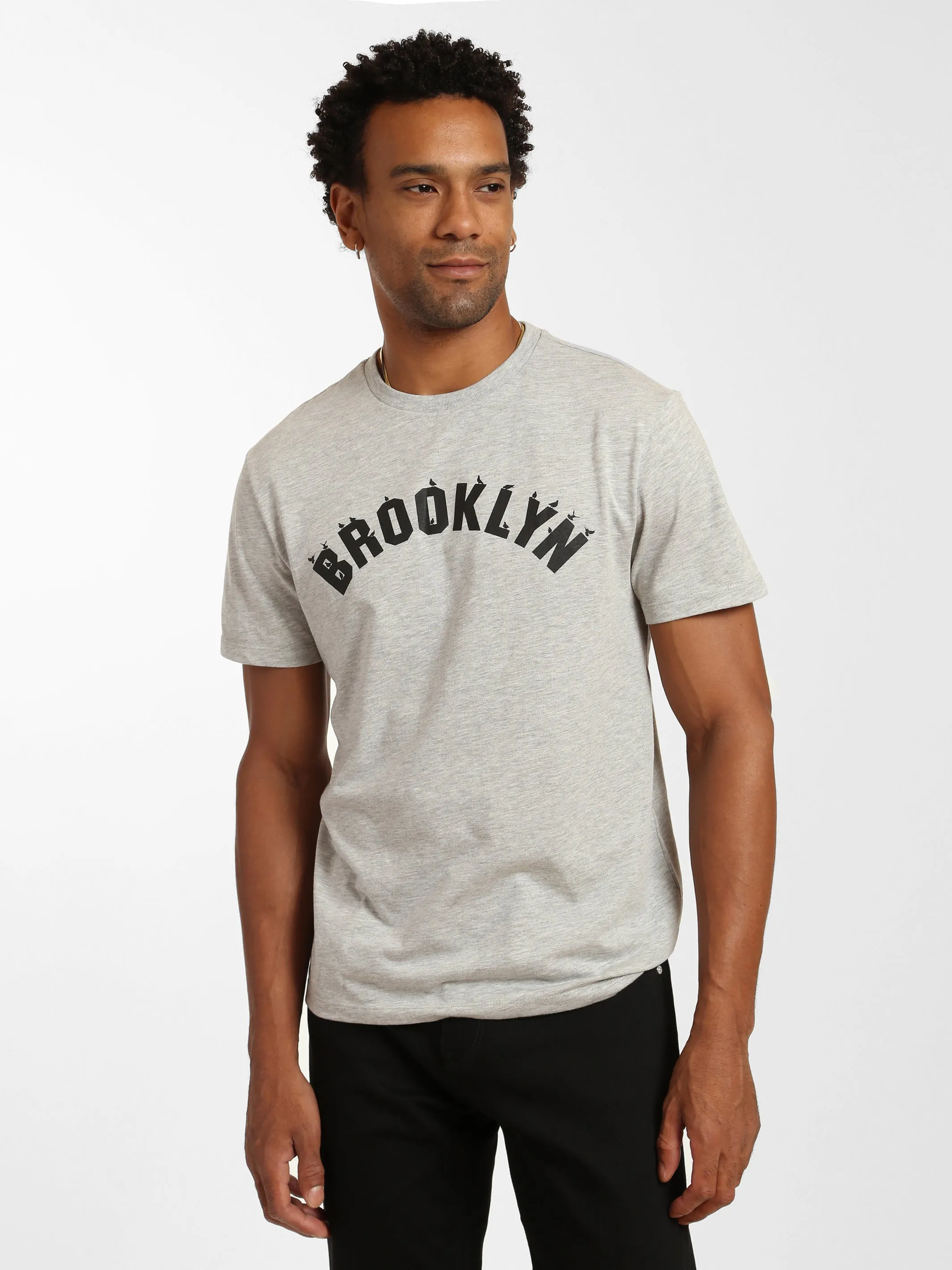 Men's Brooklyn Birds T-shirt sold by Brooklyn Industries product image thumbnail 5