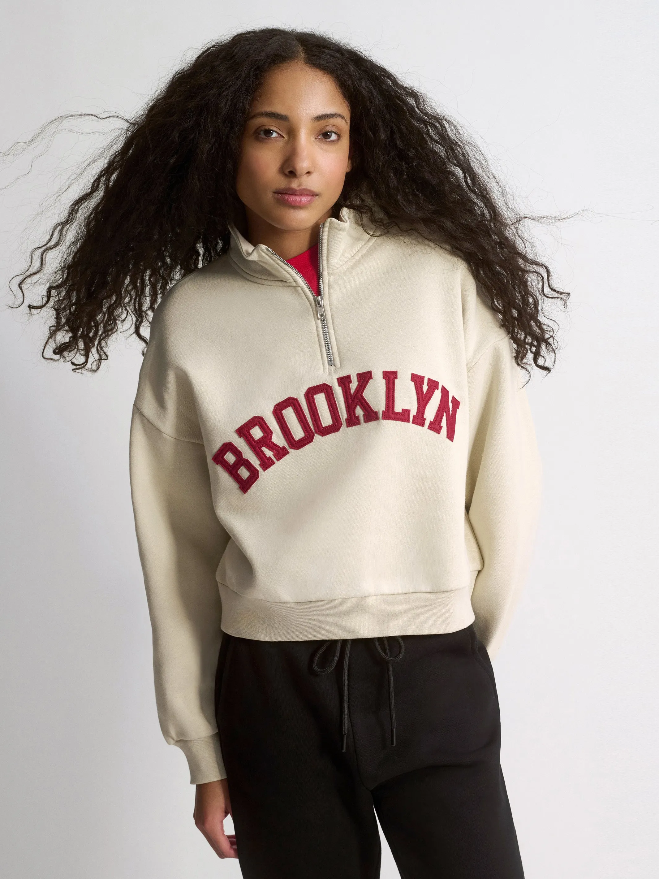 Women's Campus Brooklyn Half-Zip Sweatshirt In Silver Birch sold by Brooklyn Industries