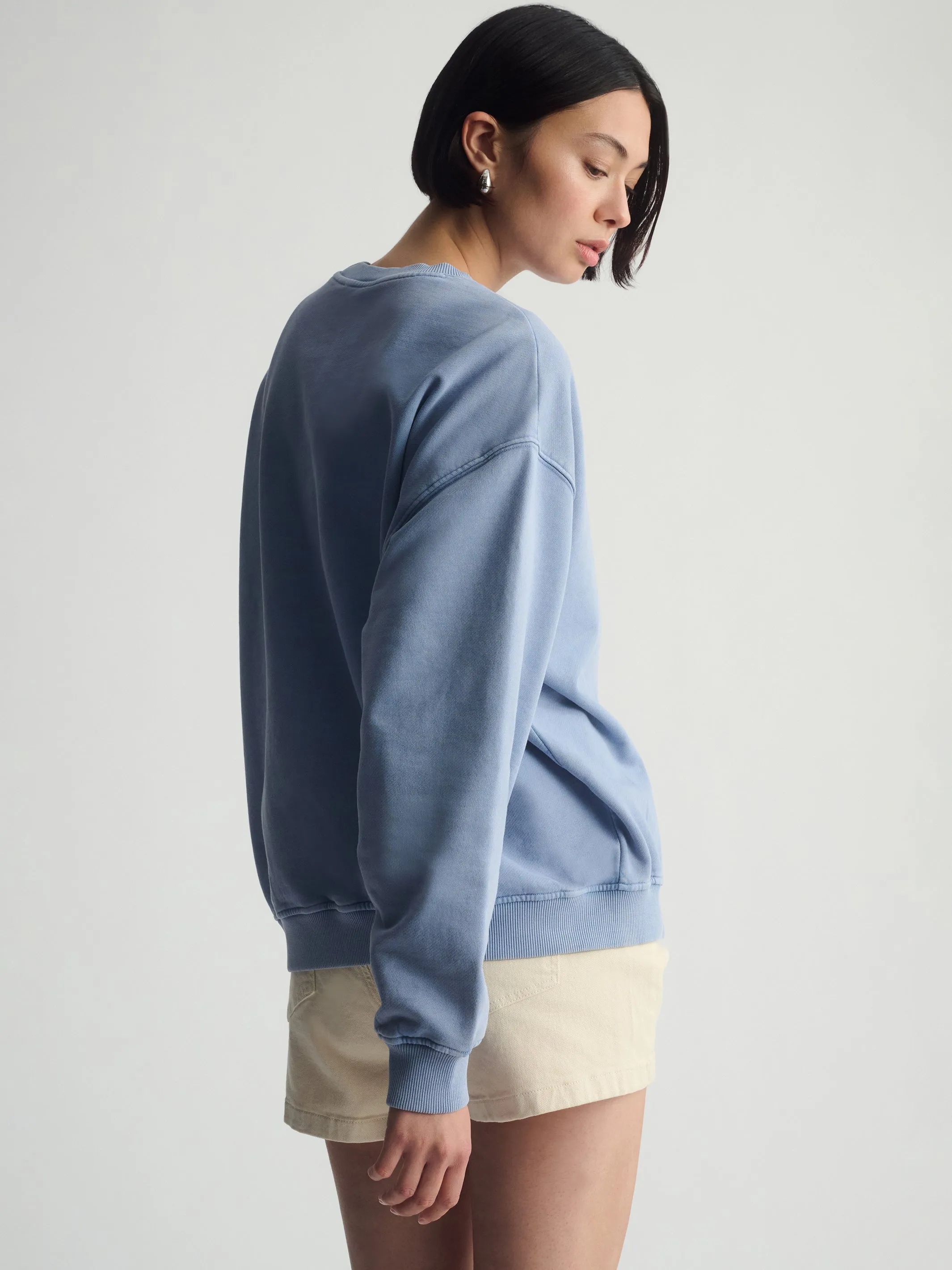 Women's Brooklyn Loose Crew Neck Sweatshirt In Bijou Blue sold by Brooklyn Industries product image thumbnail 4