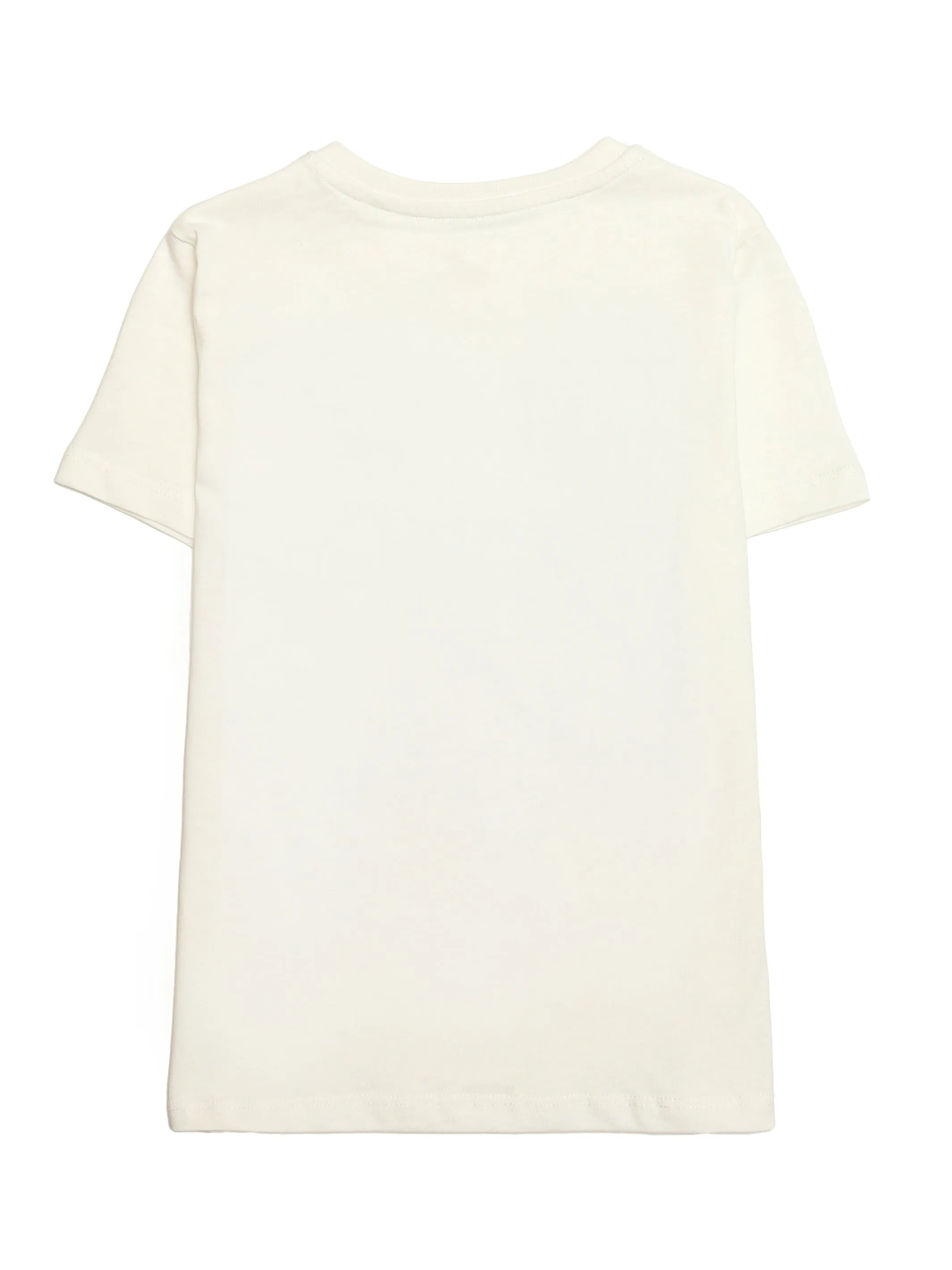 Boy's Brooklyn Rep T-shirt in Antique White sold by Brooklyn Industries product image thumbnail 2