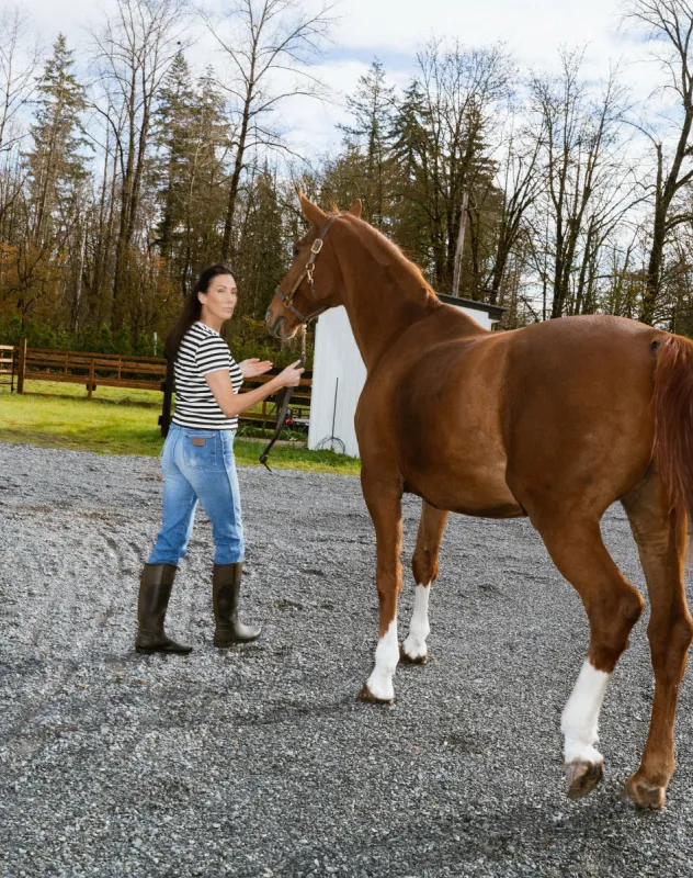 Paris Tee sold by Brunette The Label