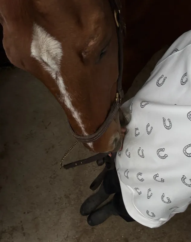 All Over Horseshoe Not Your Boyfriend's Crew sold by Brunette The Label