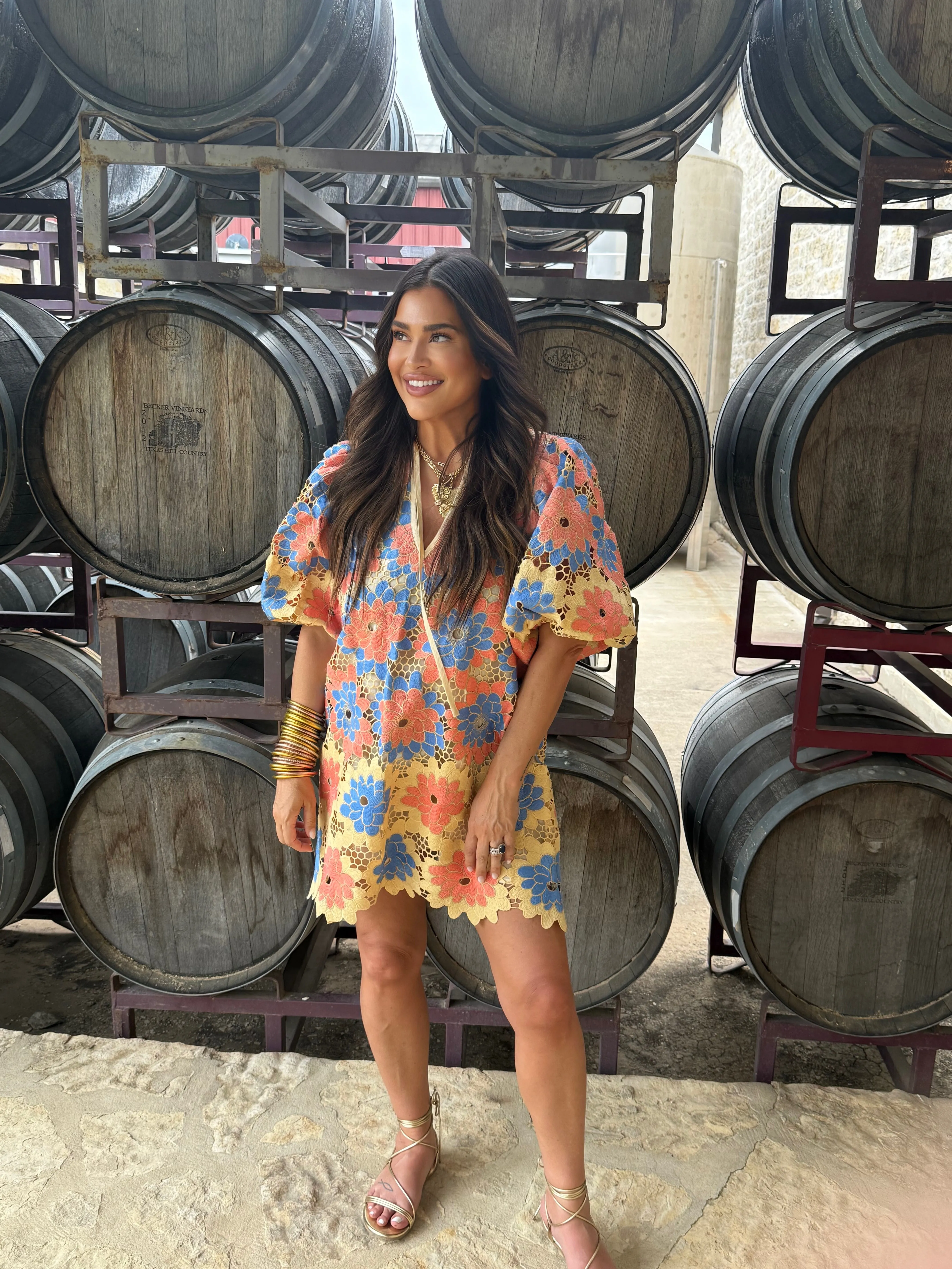 Deb Buttercup Mini Dress sold by Buddy Love product image thumbnail 4