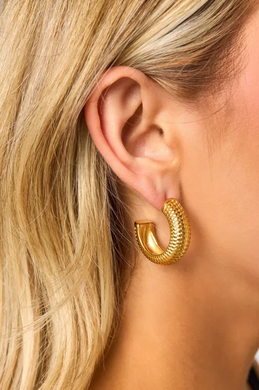 Stainless Steel Scale C-Hoop Earrings sold by Buddy Love