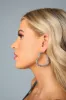 Crystal Heart Earrings - Silver sold by Buddy Love