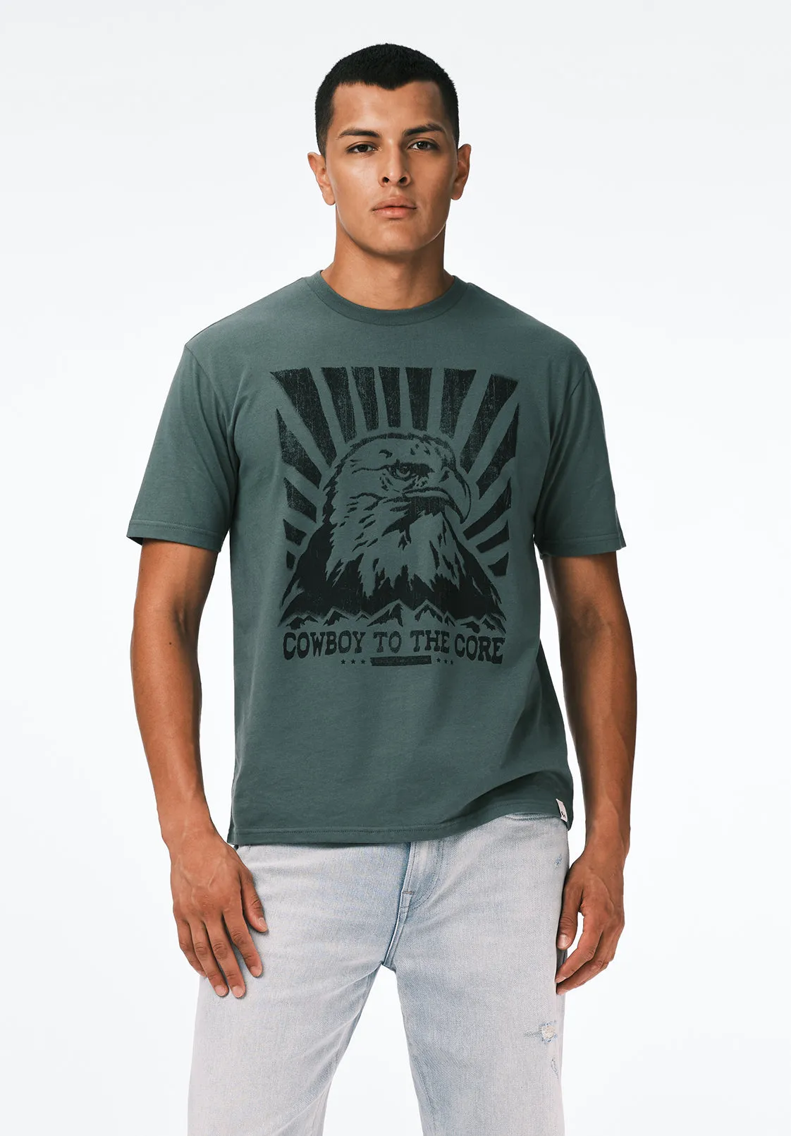 Trelan Men's Graphic T-Shirt with Eagle Print, Dark Forest - BM24725 sold by Buffalo David Bitton