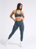 Halter Seamless Sports Bra - Enchanted Teal sold by BuffBunny