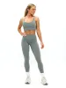 Poshknit V Scrunch Legging - Frosted Sage sold by BuffBunny