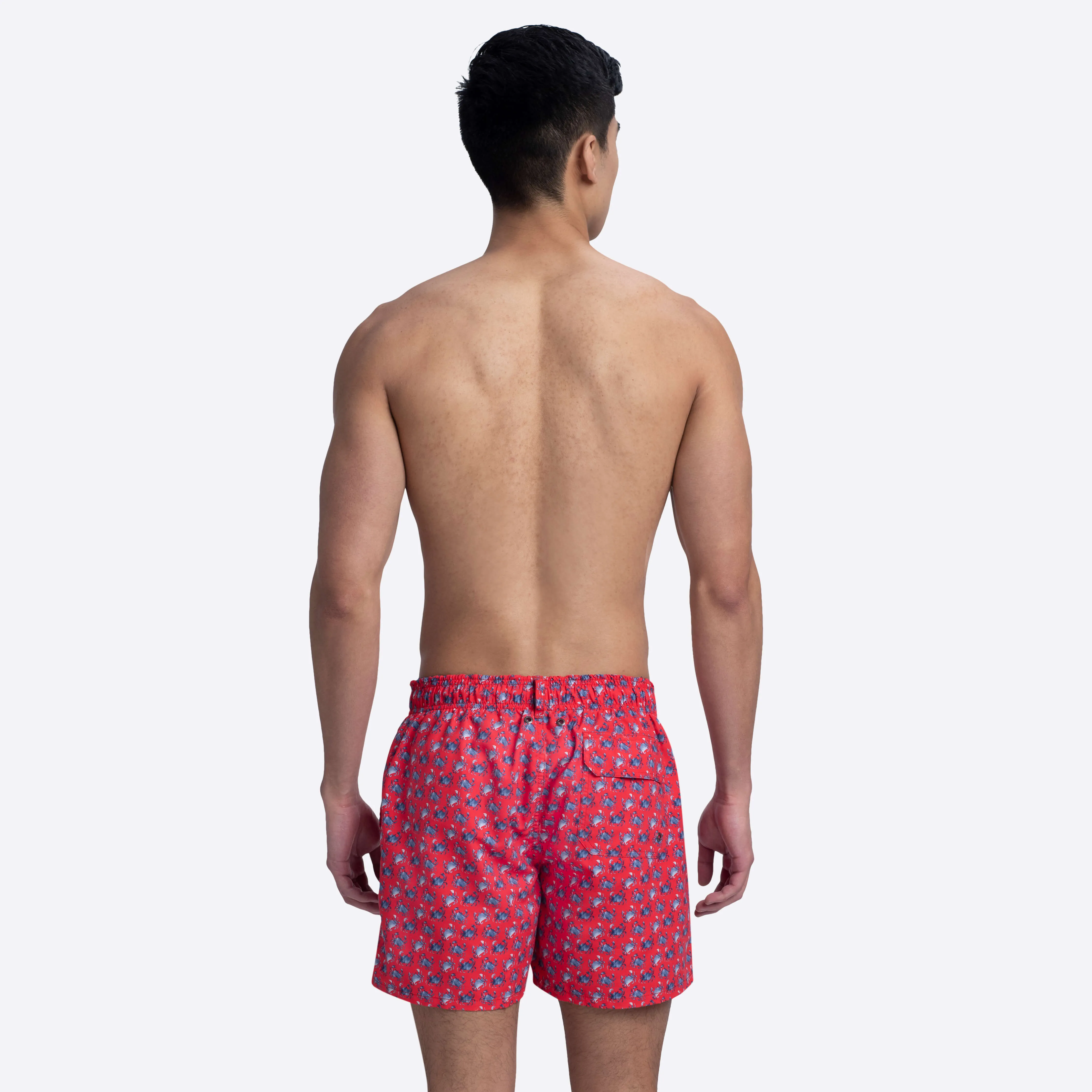 LENOX Crab Print Swim Trunks sold by Bugatchi product image thumbnail 4
