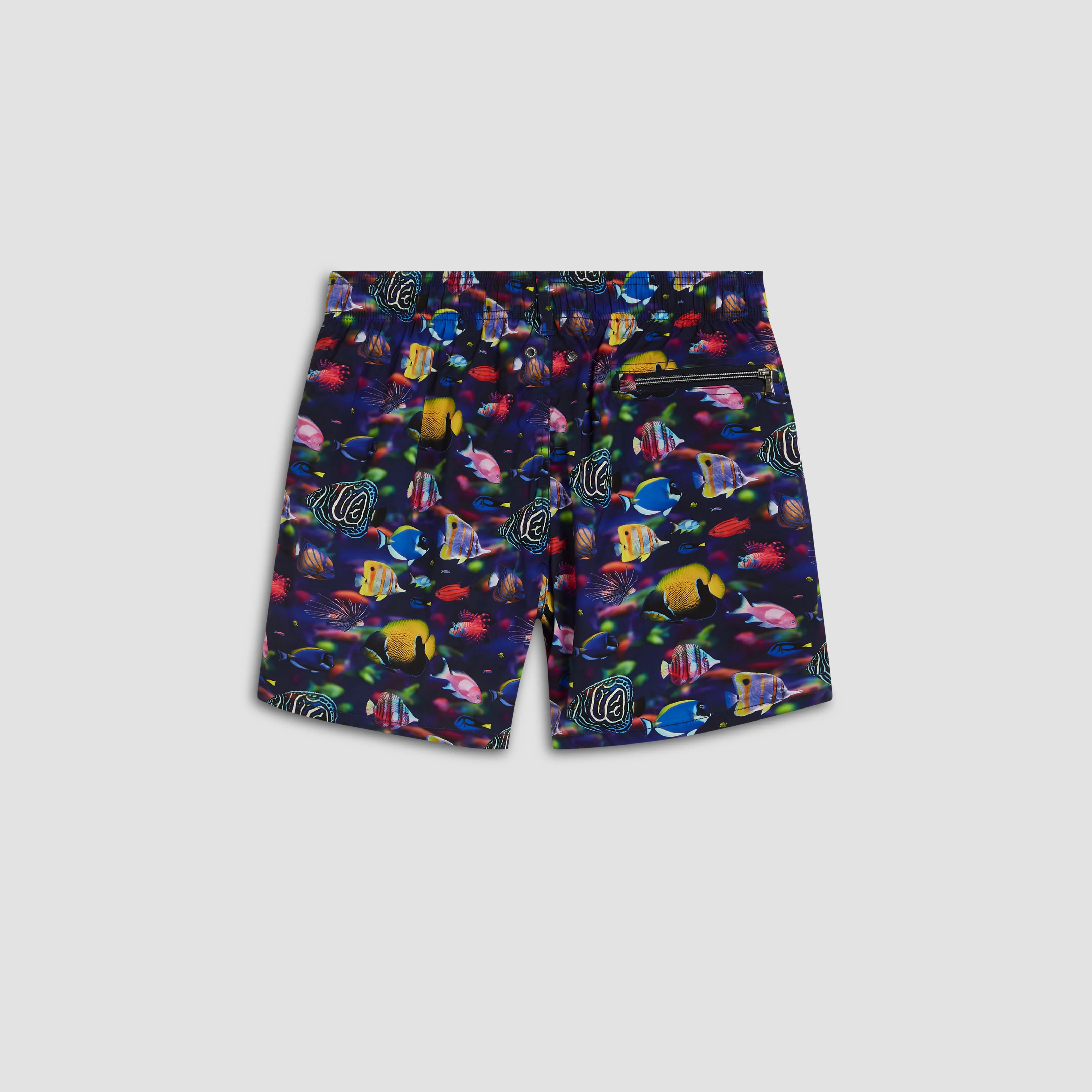 Max Fish Swim Trunks sold by Bugatchi product image thumbnail 2