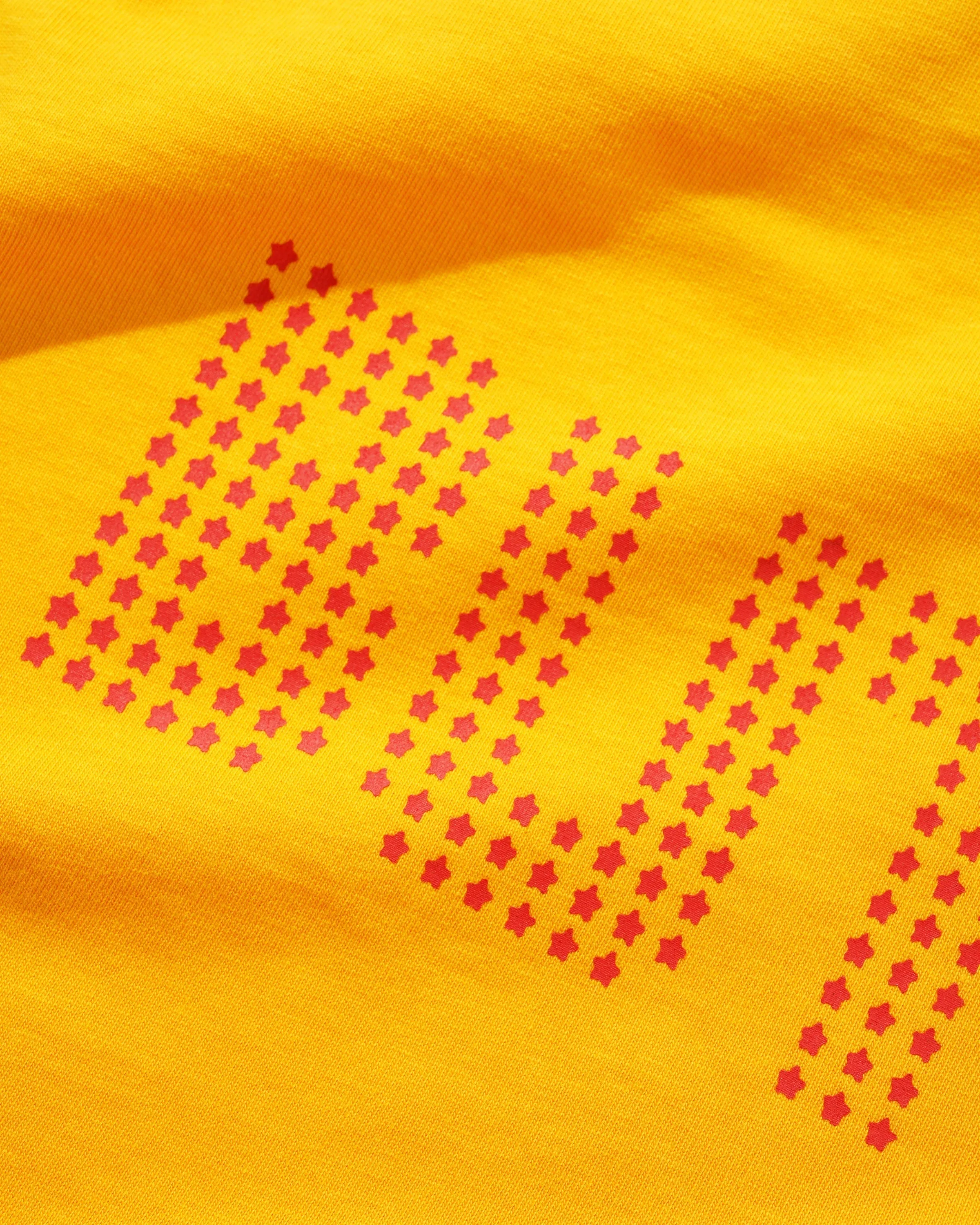 Stars Raglan Tee, Green / Gold sold by Butter product image thumbnail 3