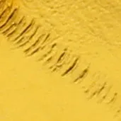 Layla Gold Eel Embossed Metallic Leather Sandal sold by BY FAR product image thumbnail 4