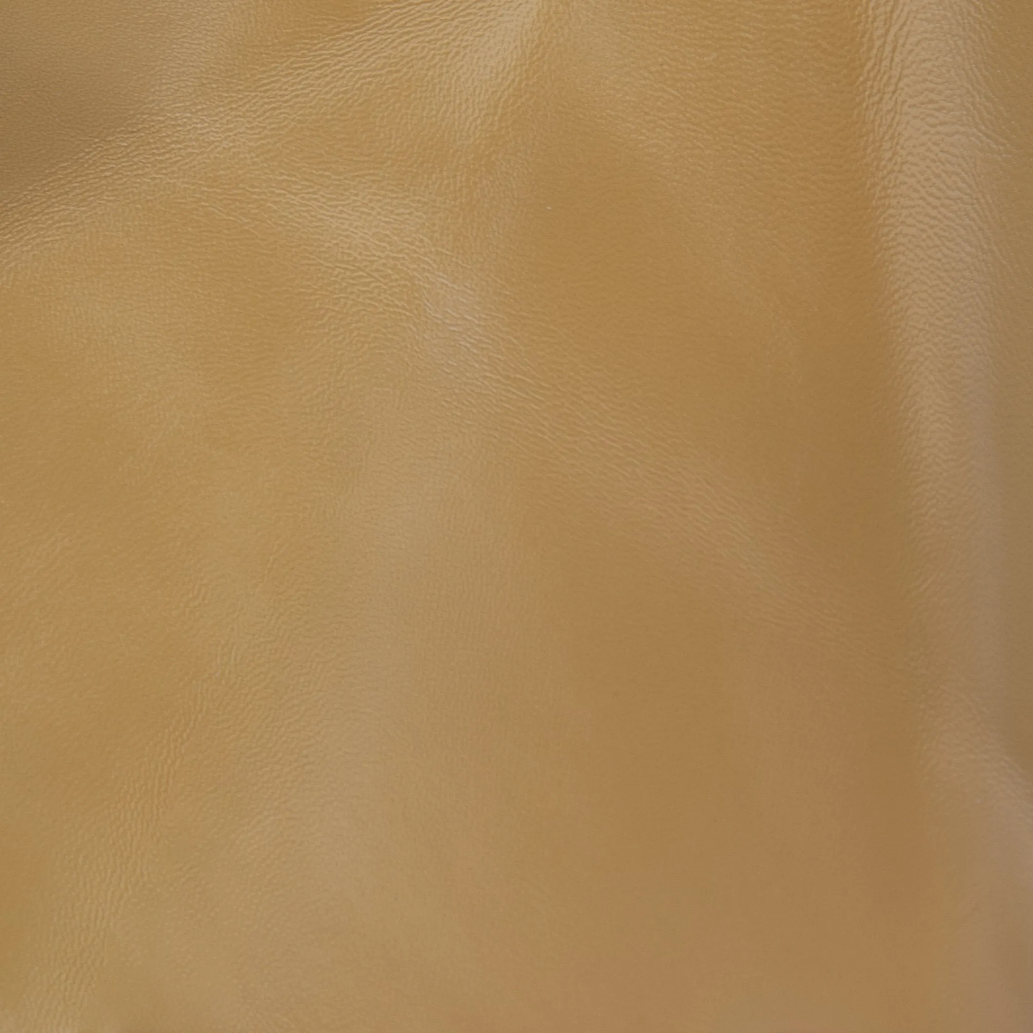 Horner Cumin Lamb Nappa Leather Shoulder Bag sold by BY FAR product image thumbnail 4