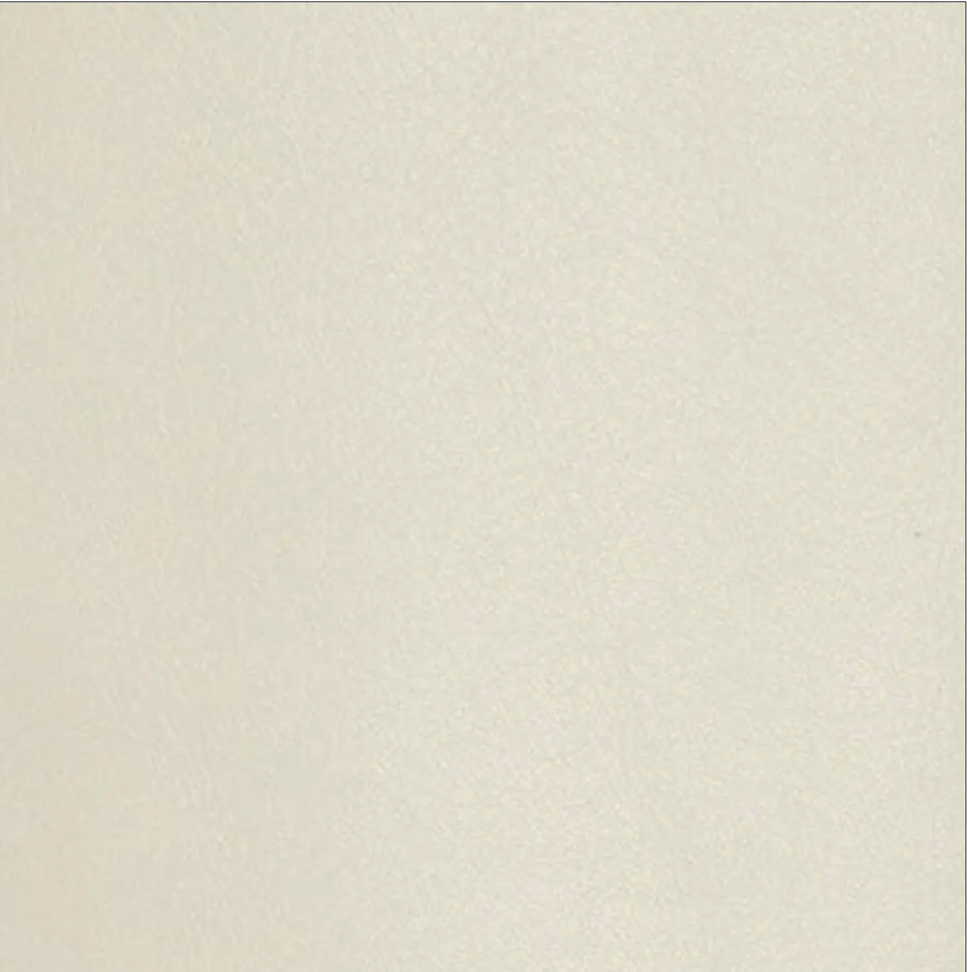 Edie Off White Leather Knee-High Boot sold by BY FAR product image thumbnail 5