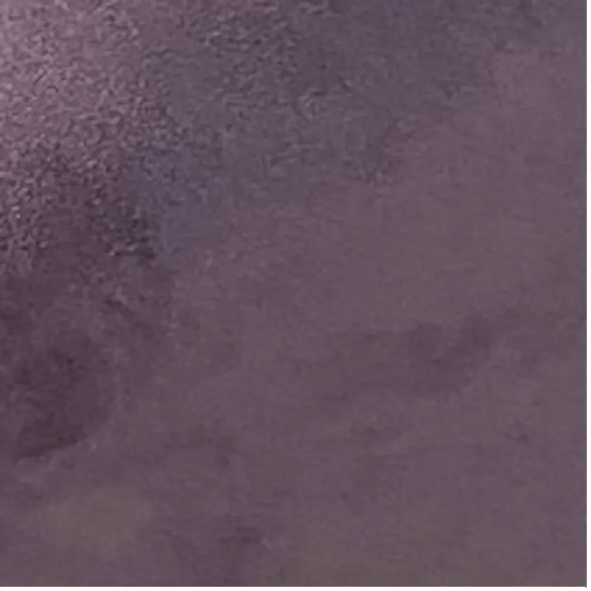 Kat Deep Purple Suede Leather Belt sold by BY FAR product image thumbnail 3