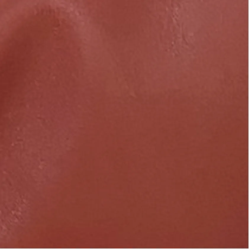 Dasha 2.0 Blood Red Nappa Leather Flip-Flop Sandal sold by BY FAR product image thumbnail 4