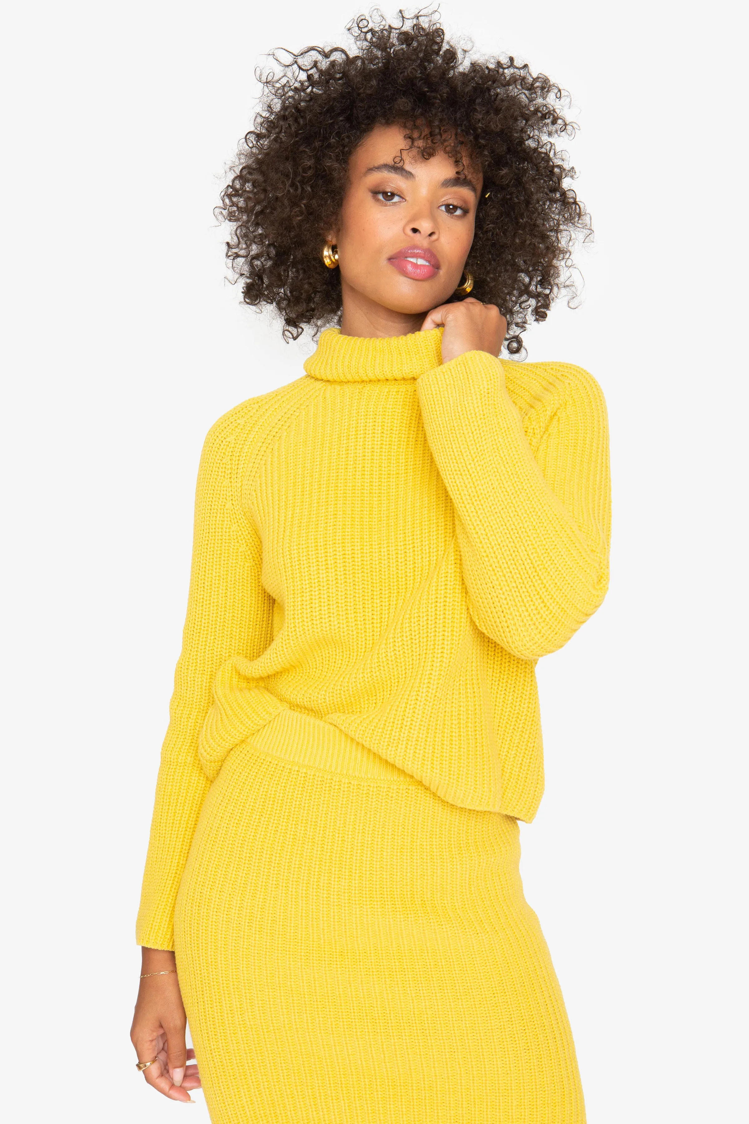 Gia Turtleneck - Celery sold by Callahan