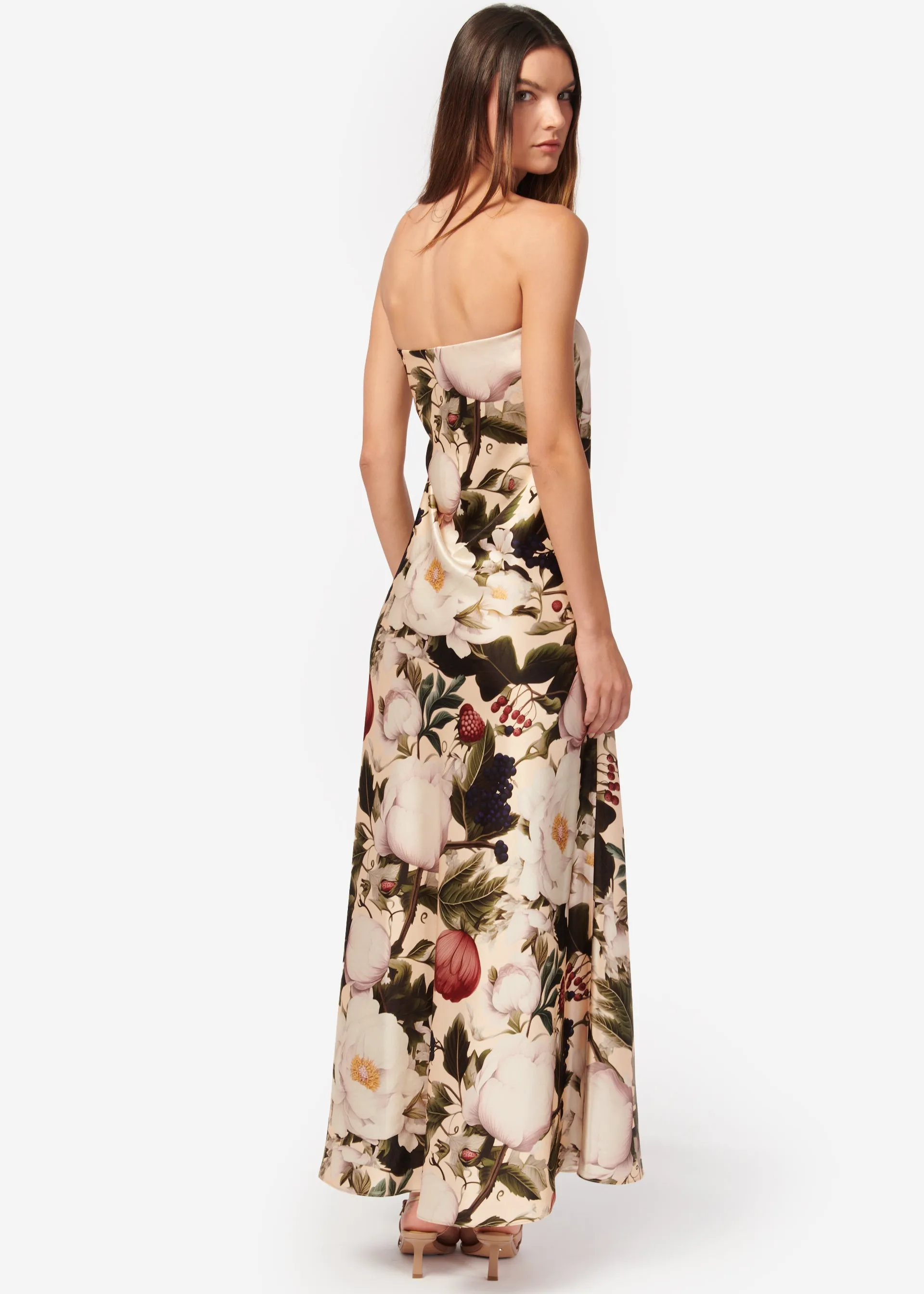 Noelle Dress English Garden sold by Cami NYC product image thumbnail 4