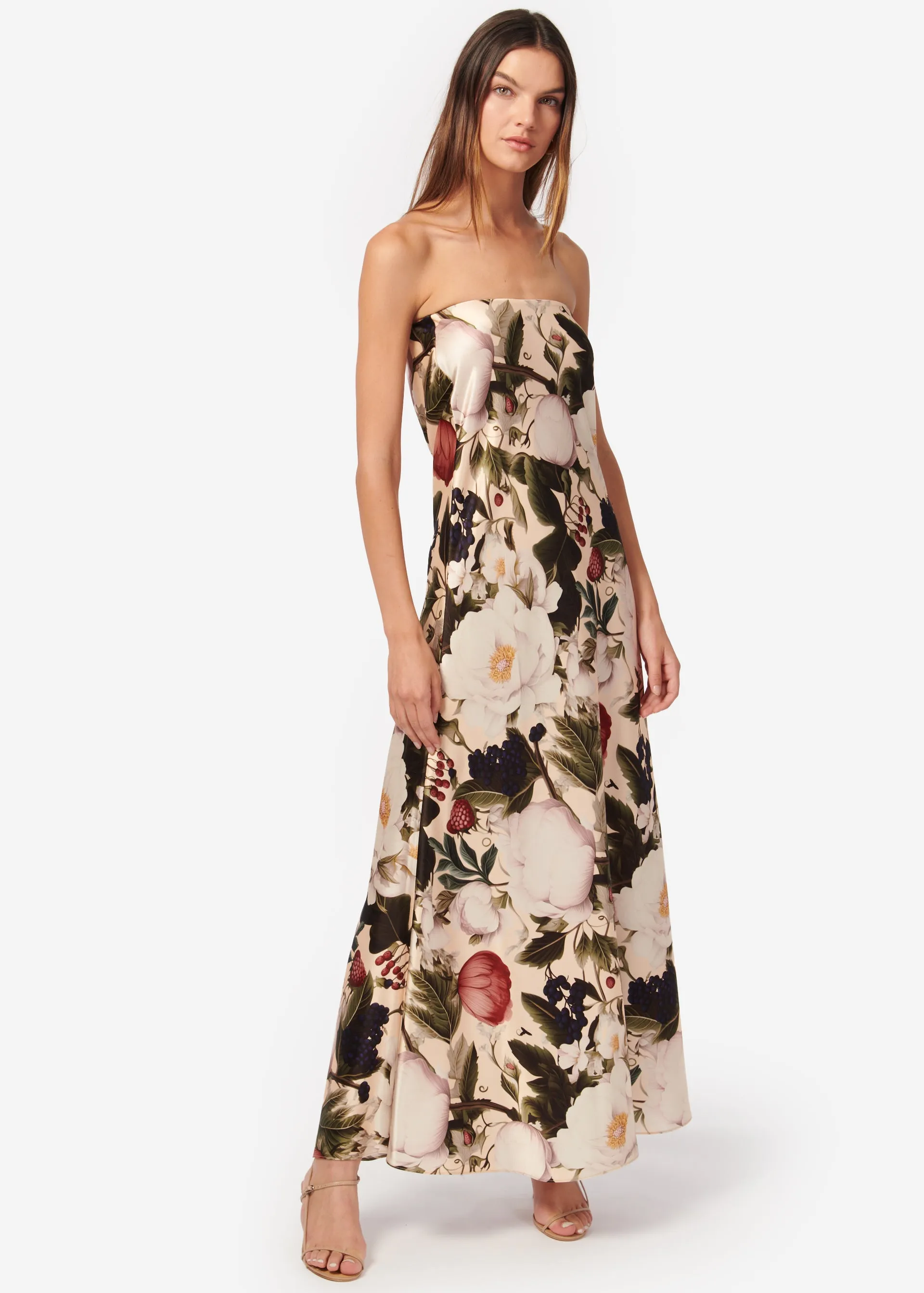 Noelle Dress English Garden sold by Cami NYC product image thumbnail 3