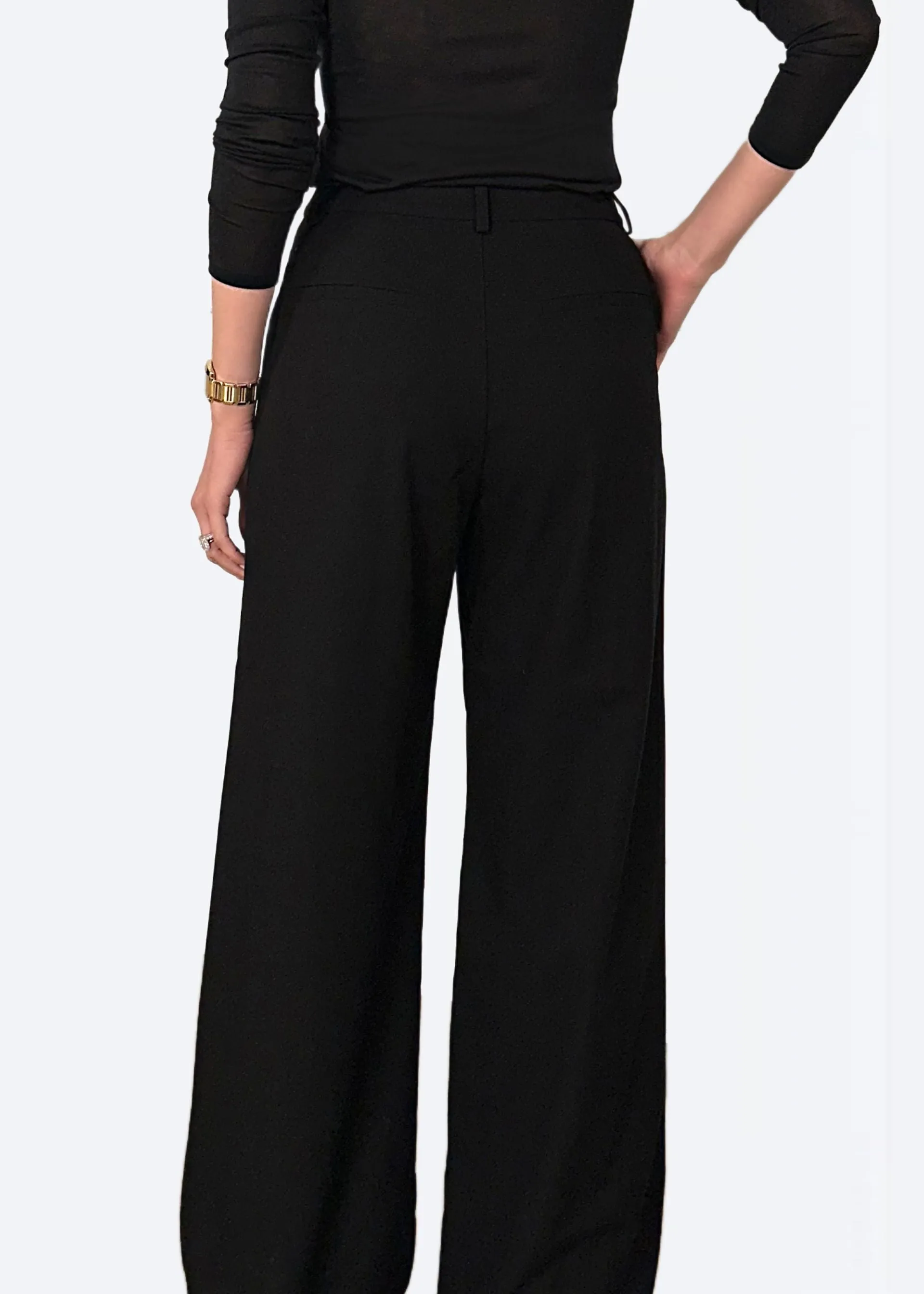 Rosheen Wide Leg Pant Black sold by Cami NYC product image thumbnail 3