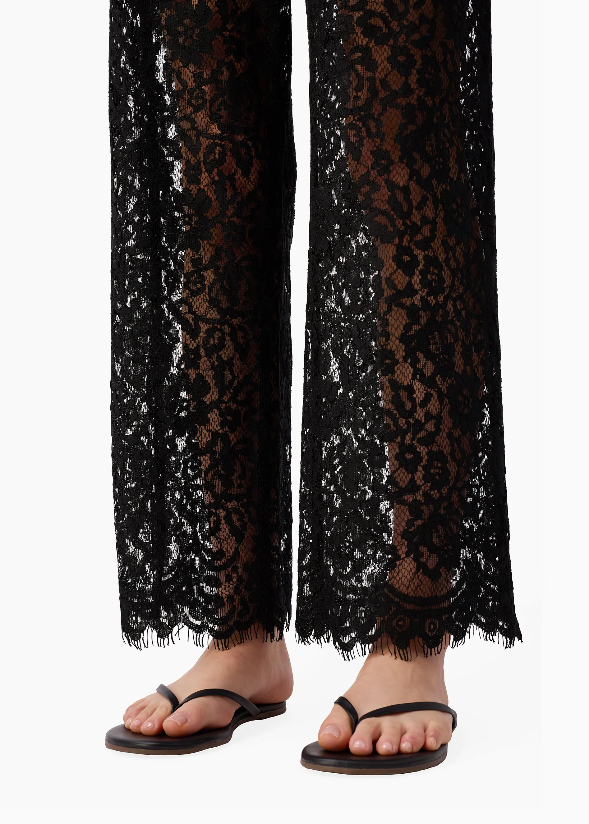 Minerva Lace Pant Black sold by CAMI product image thumbnail 4