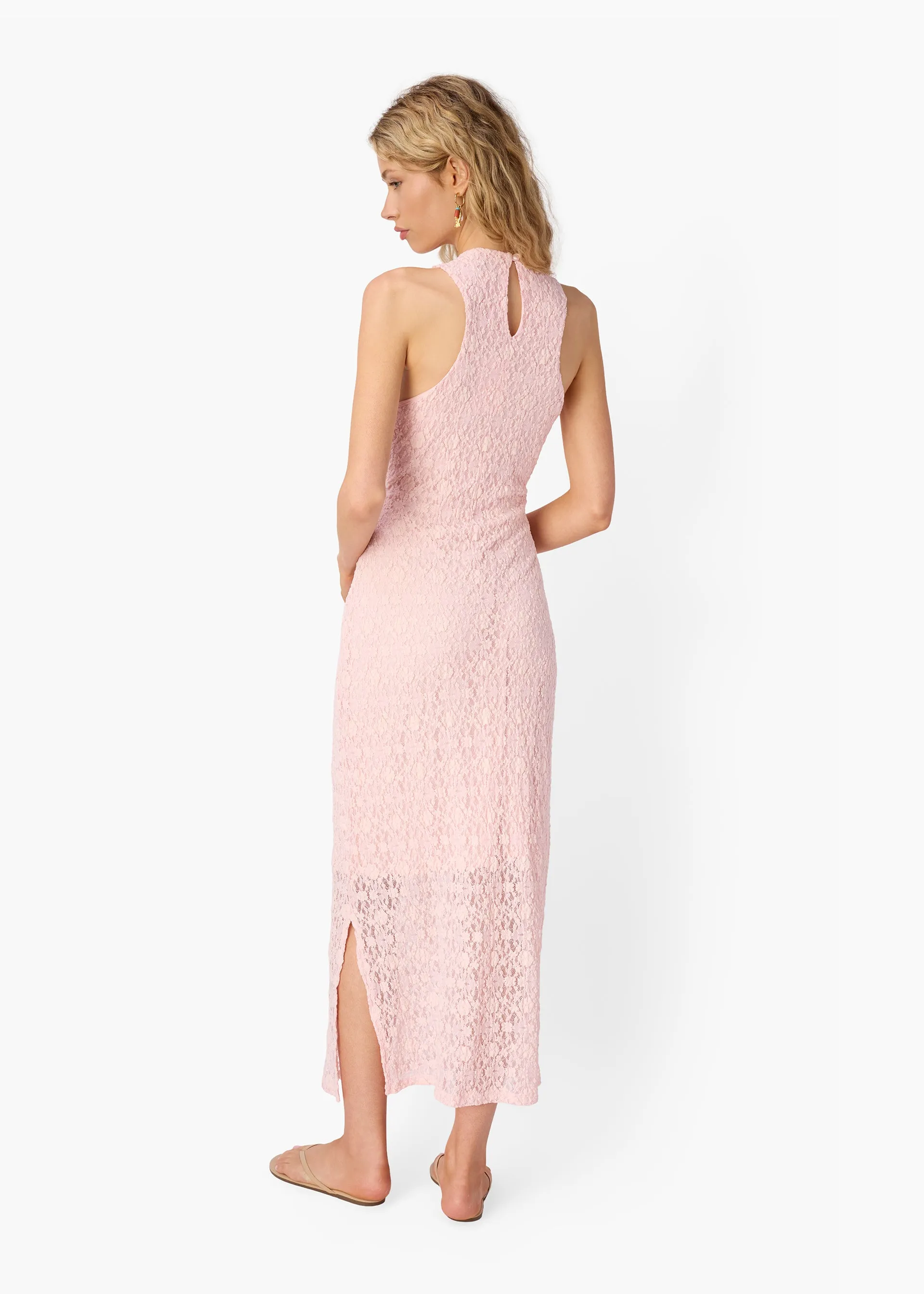 Annison Stretch Lace Midi Dress Dogwood sold by CAMI product image thumbnail 5