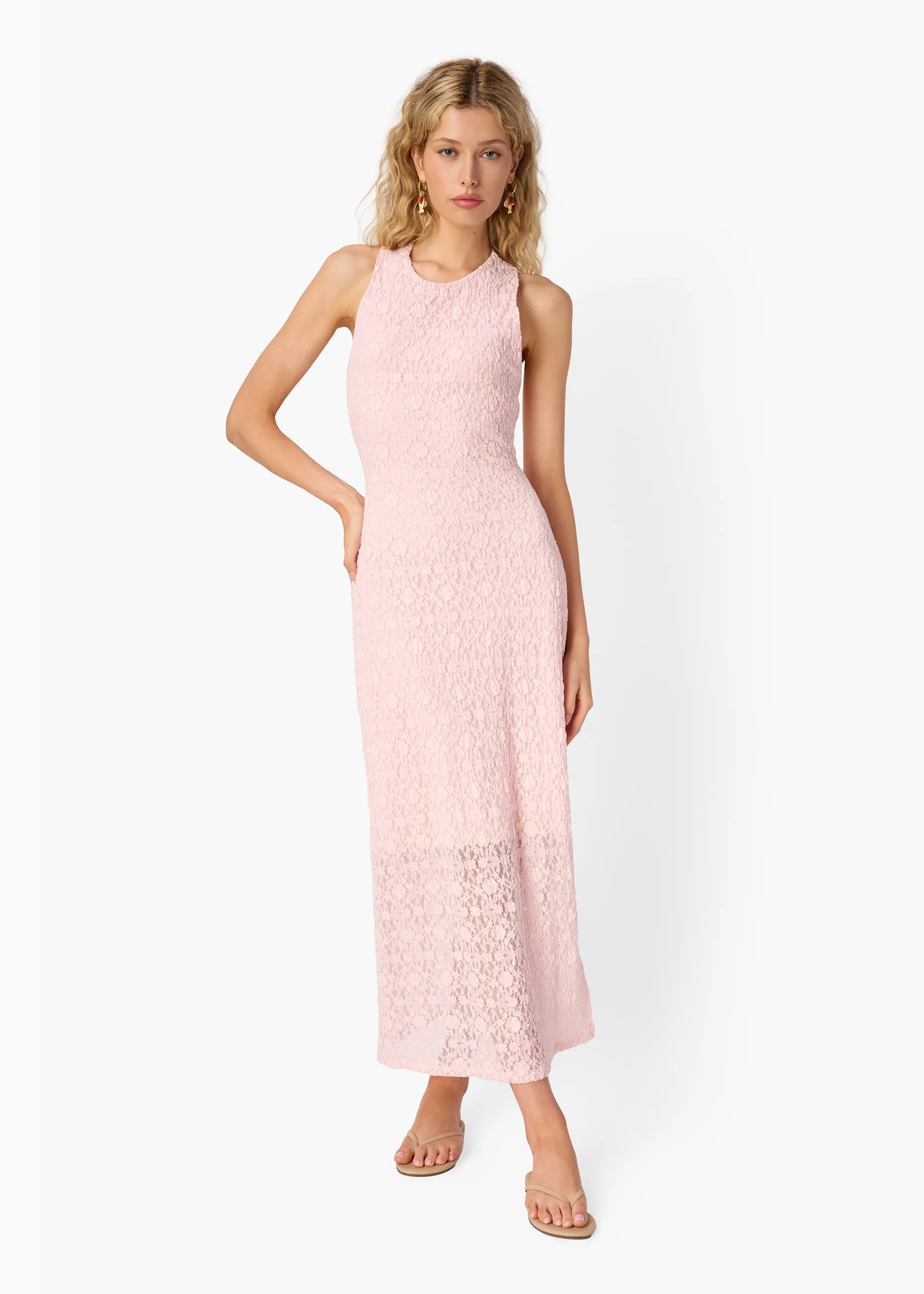 Annison Stretch Lace Midi Dress Dogwood sold by CAMI product image thumbnail 2
