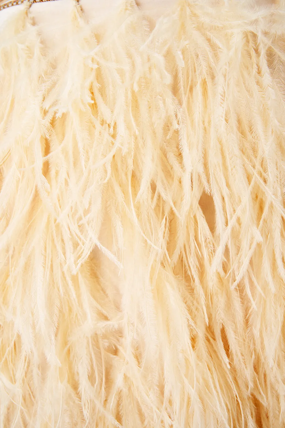 FEATHER MINI SKIRT TWILIGHT IN ISTANBUL sold by Camilla product image thumbnail 3