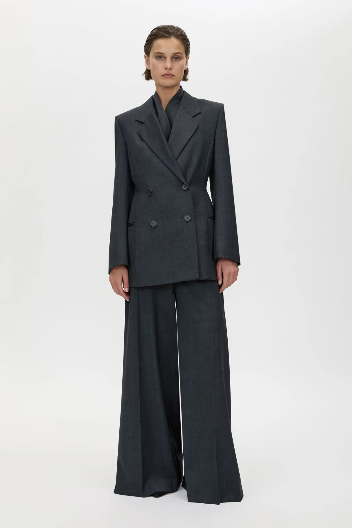 Ascent Wide Leg Side Pleat Pant sold by camilla & marc product image thumbnail 2