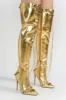 Pofin-2 Metallic Thigh High Pointy Toe Boots - Gold sold by Cape Robbin
