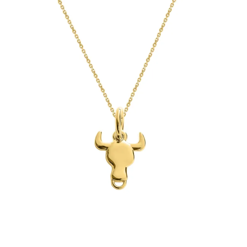 Sterling Silver Zodiac Charm Necklace sold by Capsul Jewelry