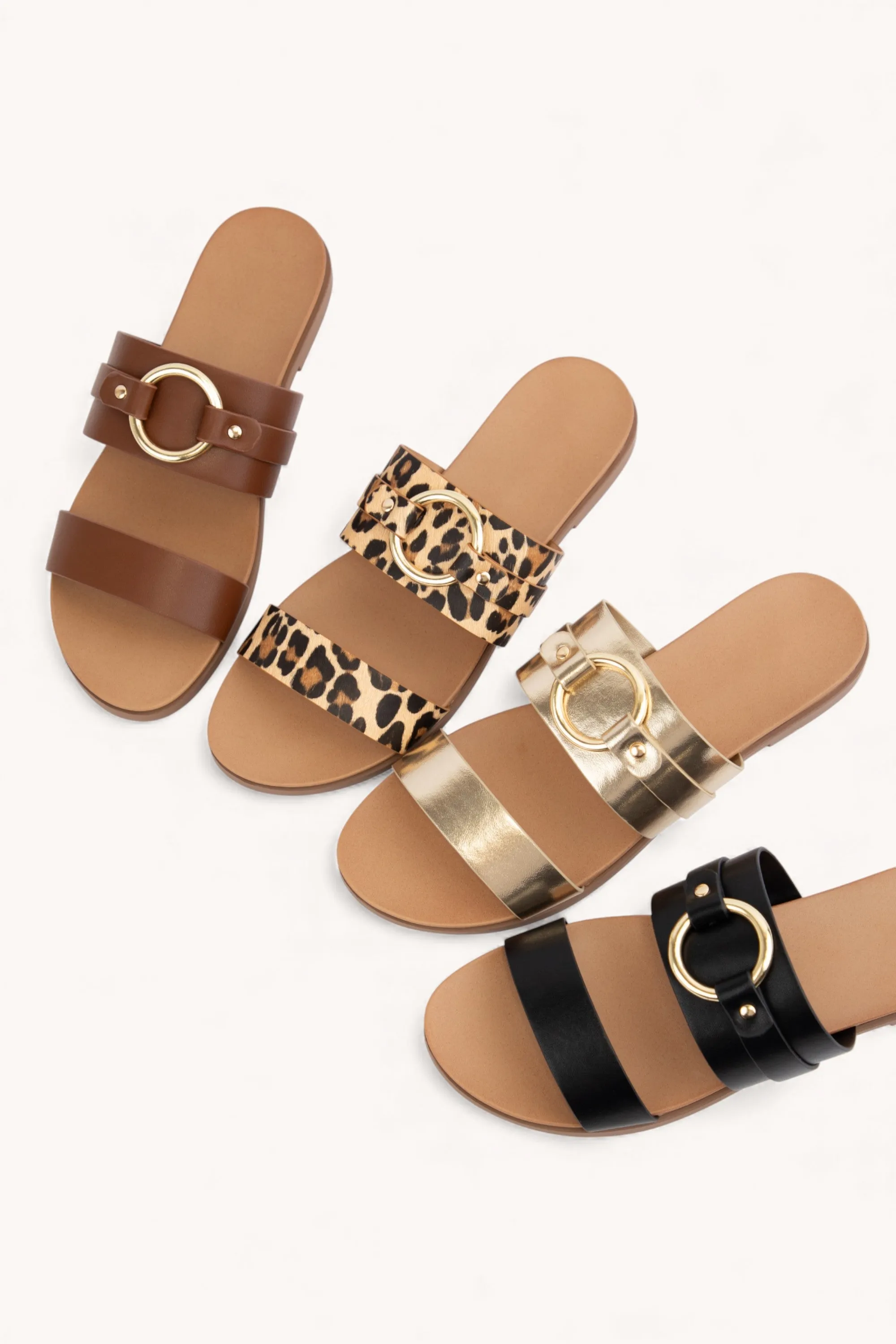 SIGN-C sold by CCOCCI