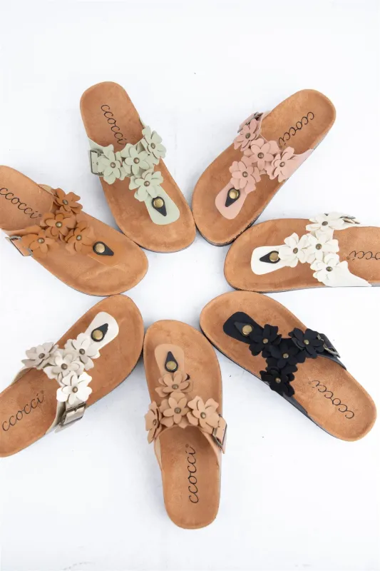 SAVANNAH sold by CCOCCI