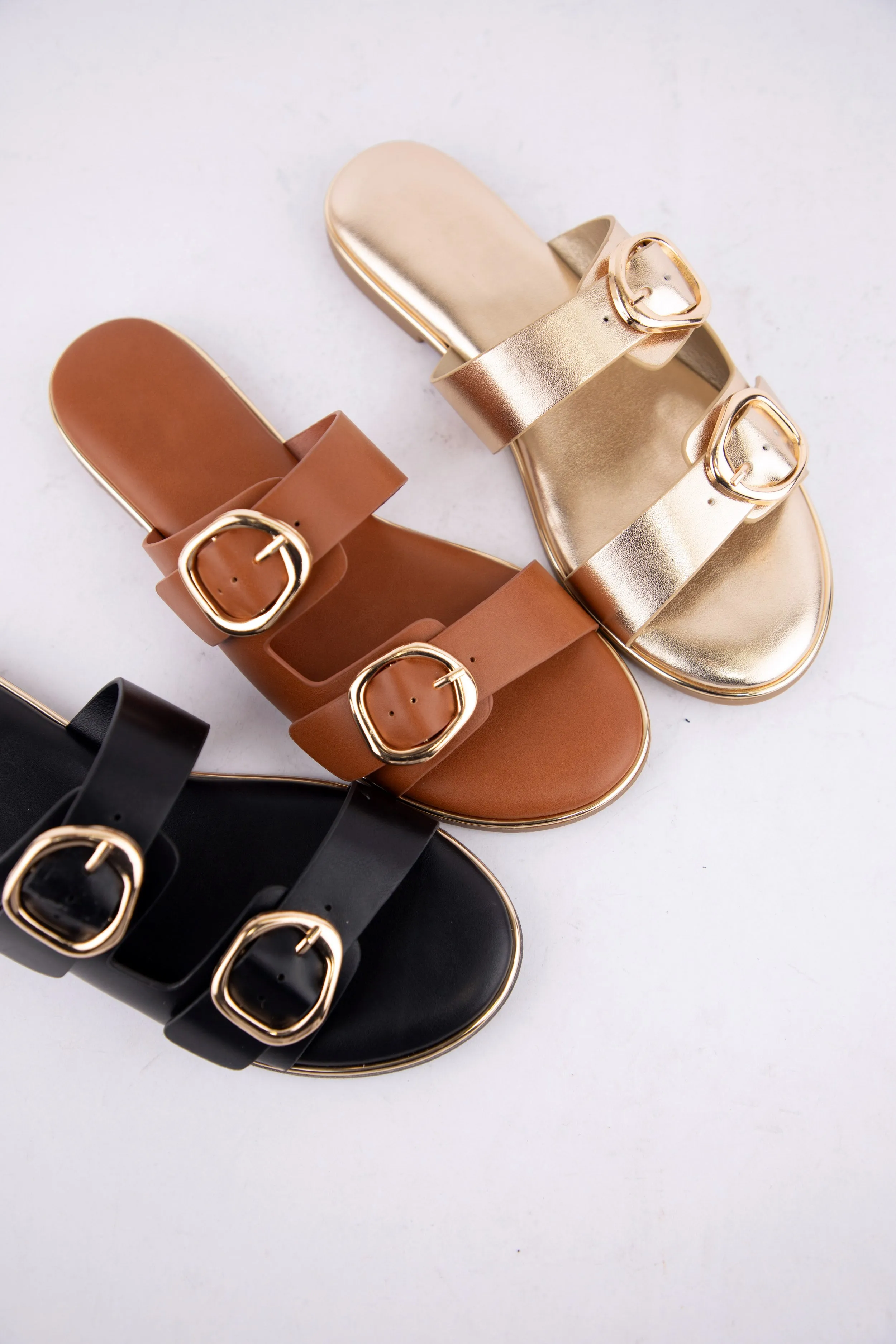 ARINA sold by CCOCCI