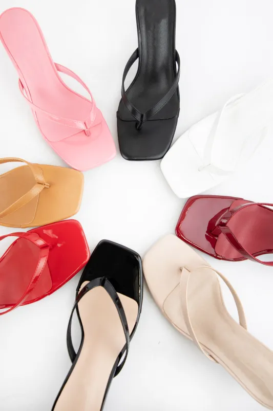 EQUAL-02 sold by CCOCCI