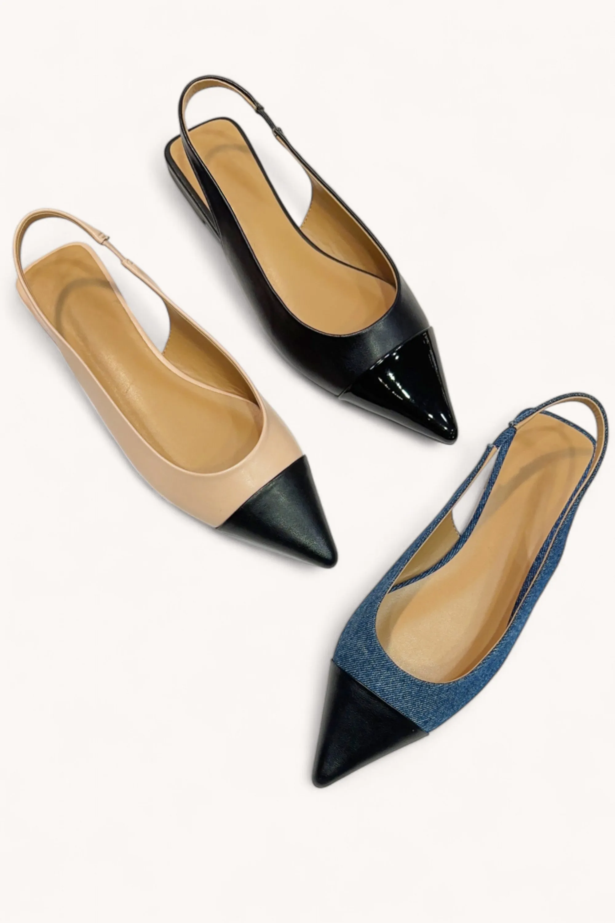 ASSERT-04_1 sold by CCOCCI