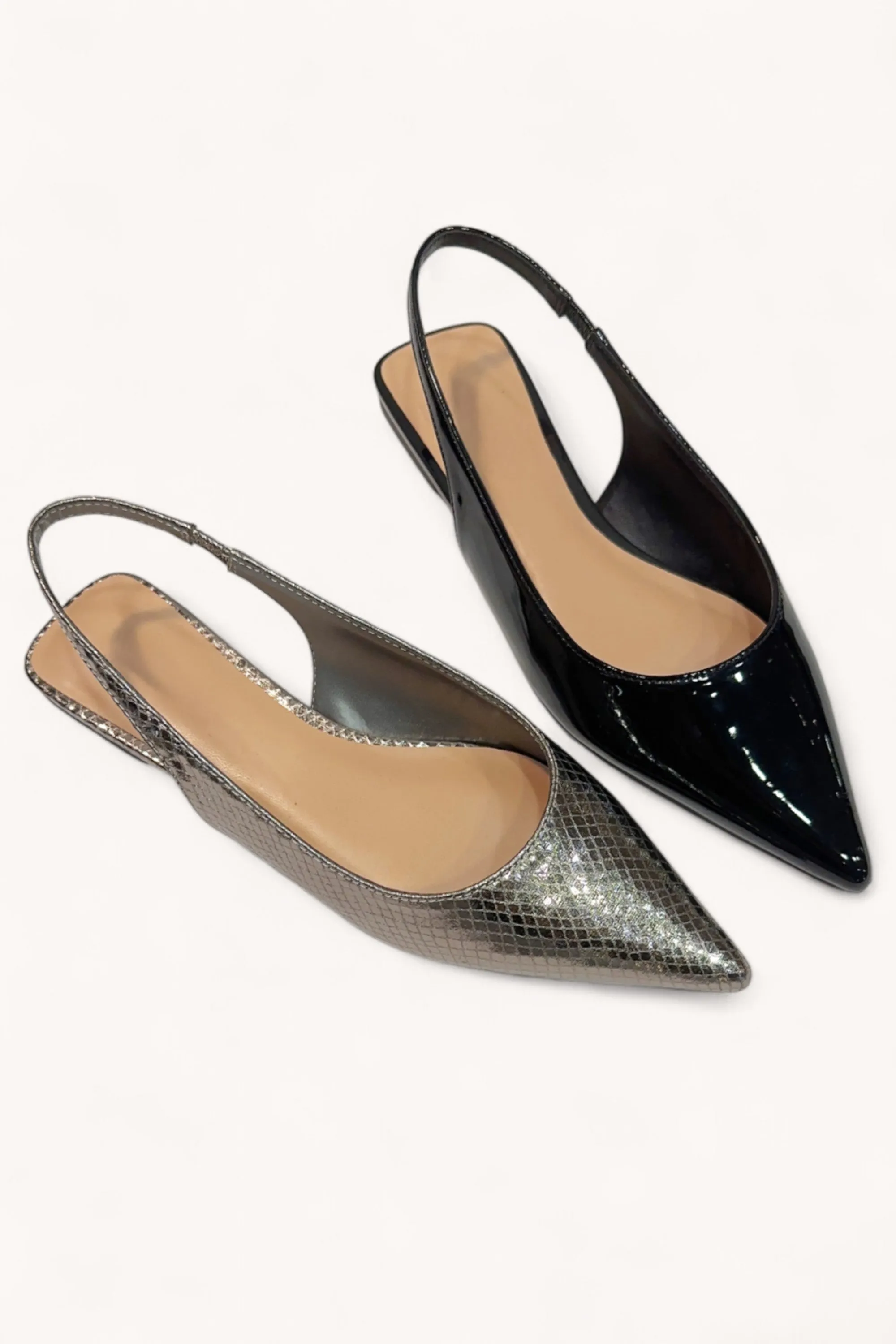 ASSERT-03_4 sold by CCOCCI