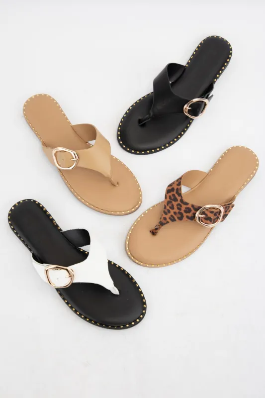 RICI-03 sold by CCOCCI