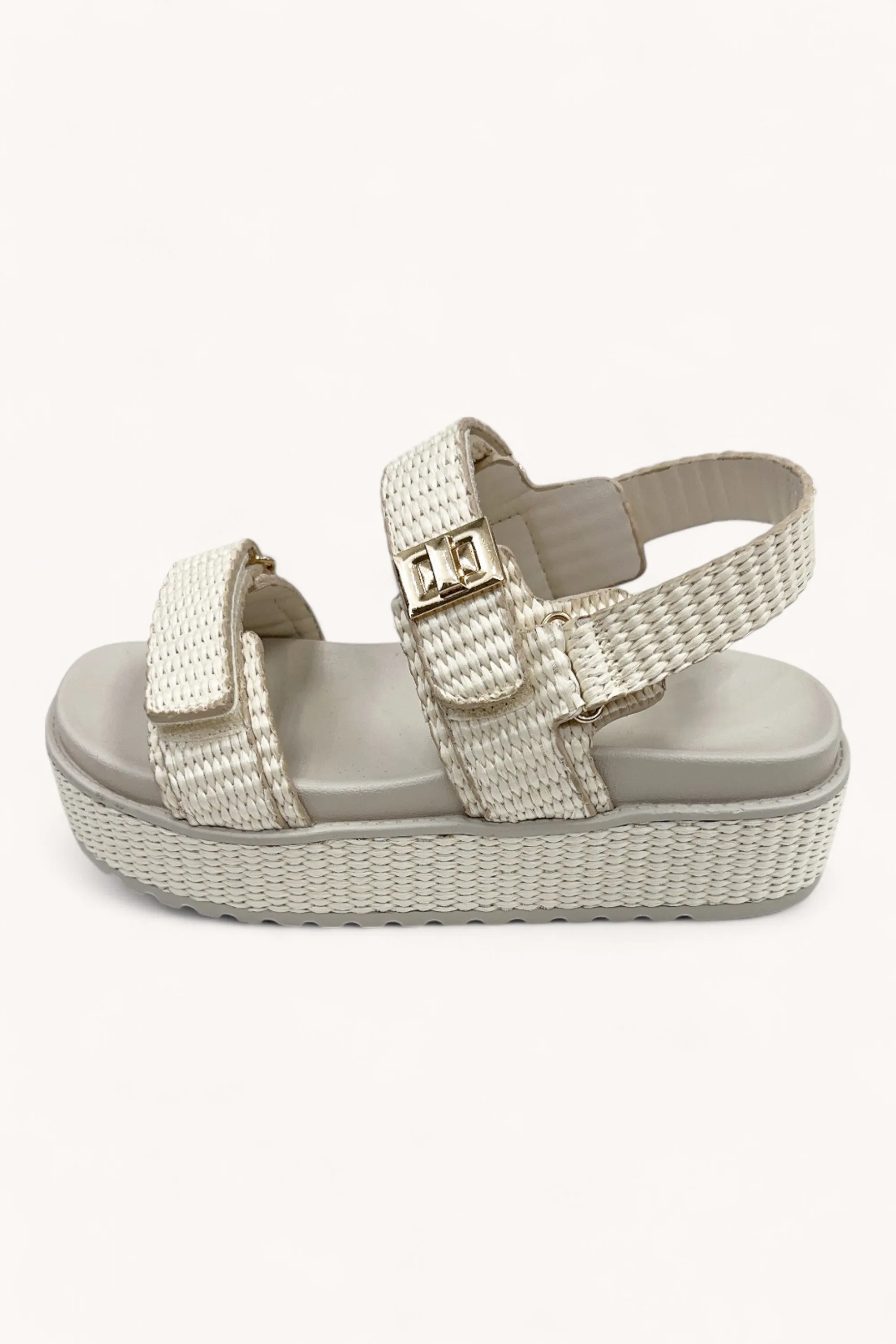 TRACI-18 sold by CCOCCI product image thumbnail 3