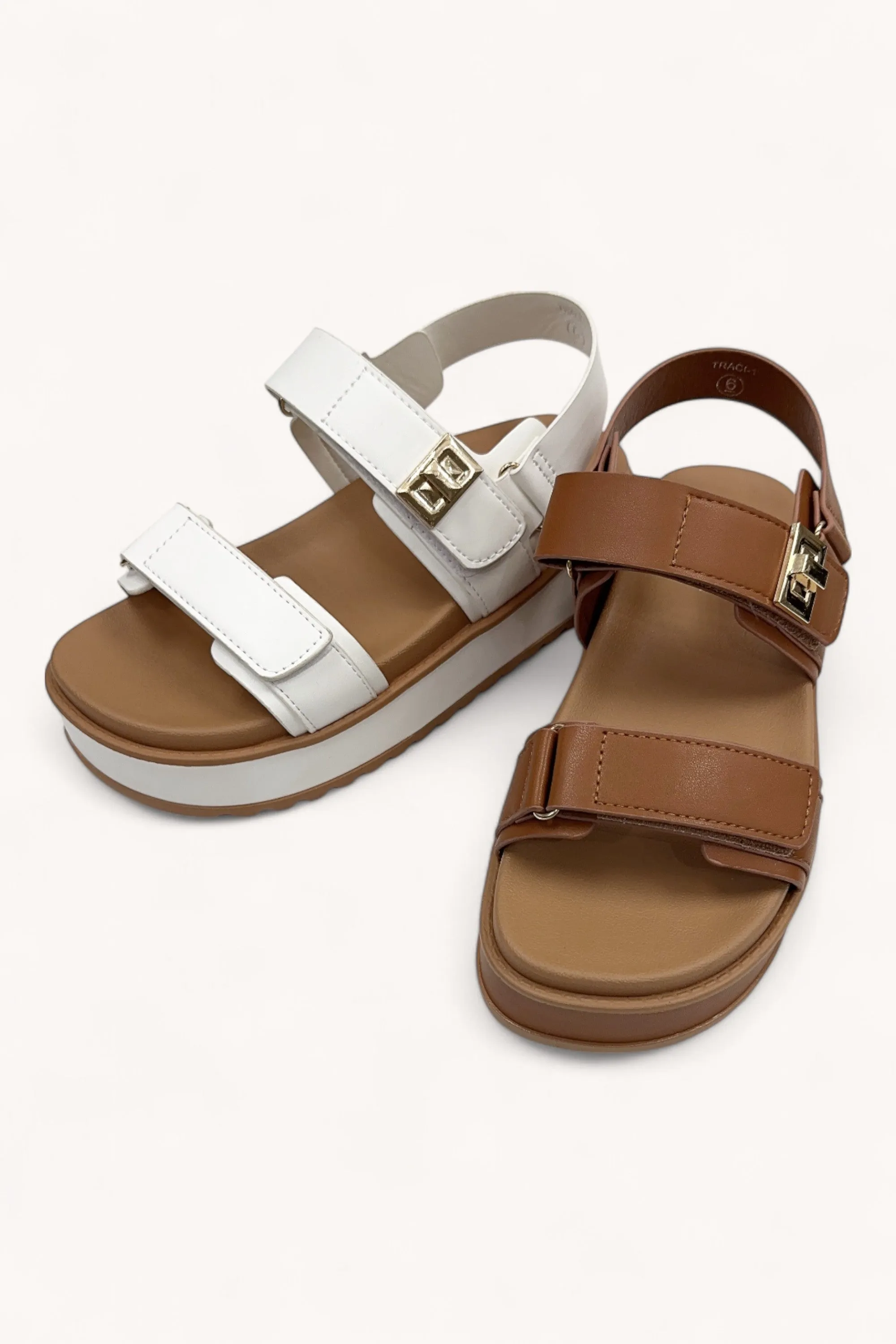 TRACI-1 sold by CCOCCI product image thumbnail 3