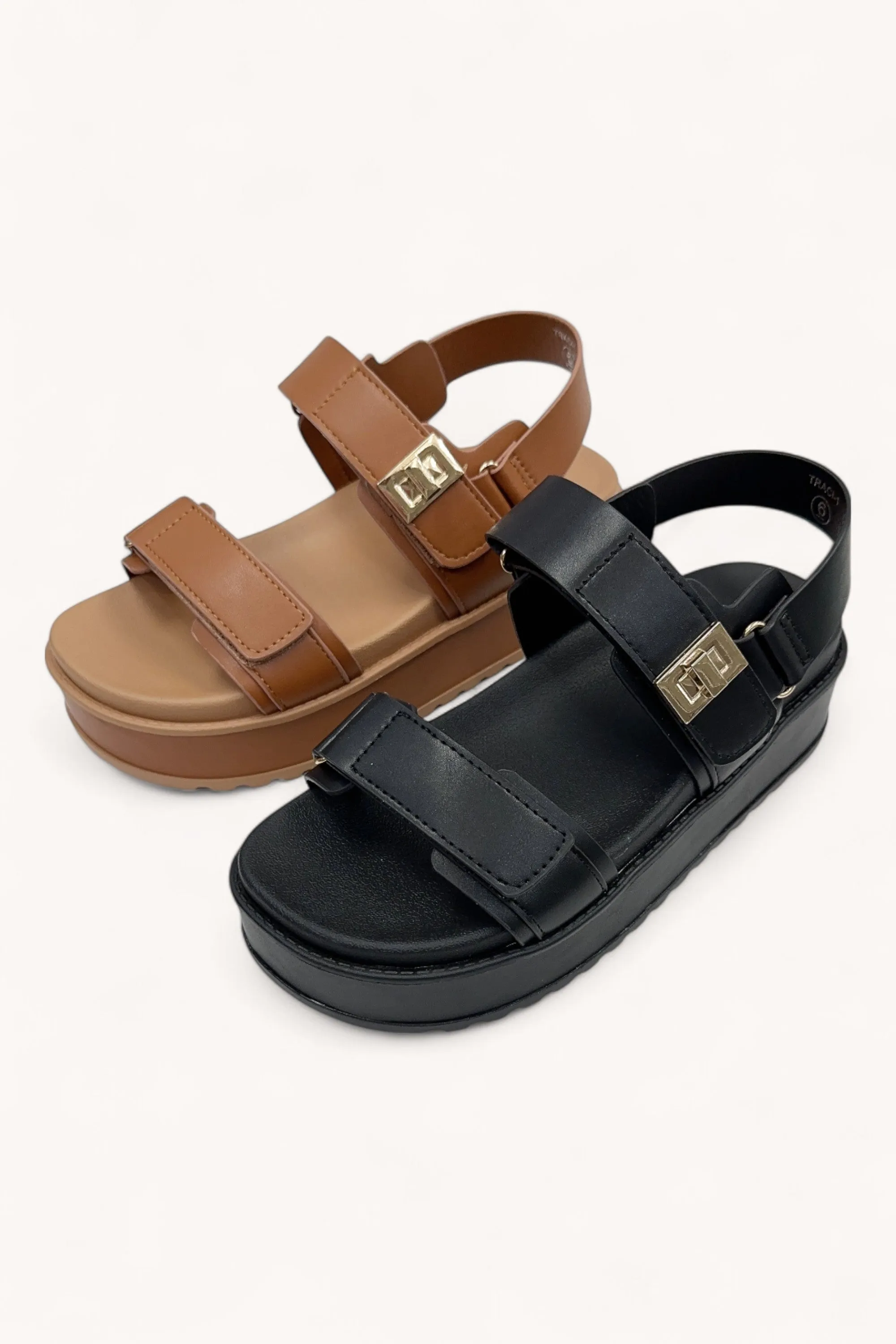 TRACI-1 sold by CCOCCI product image thumbnail 5