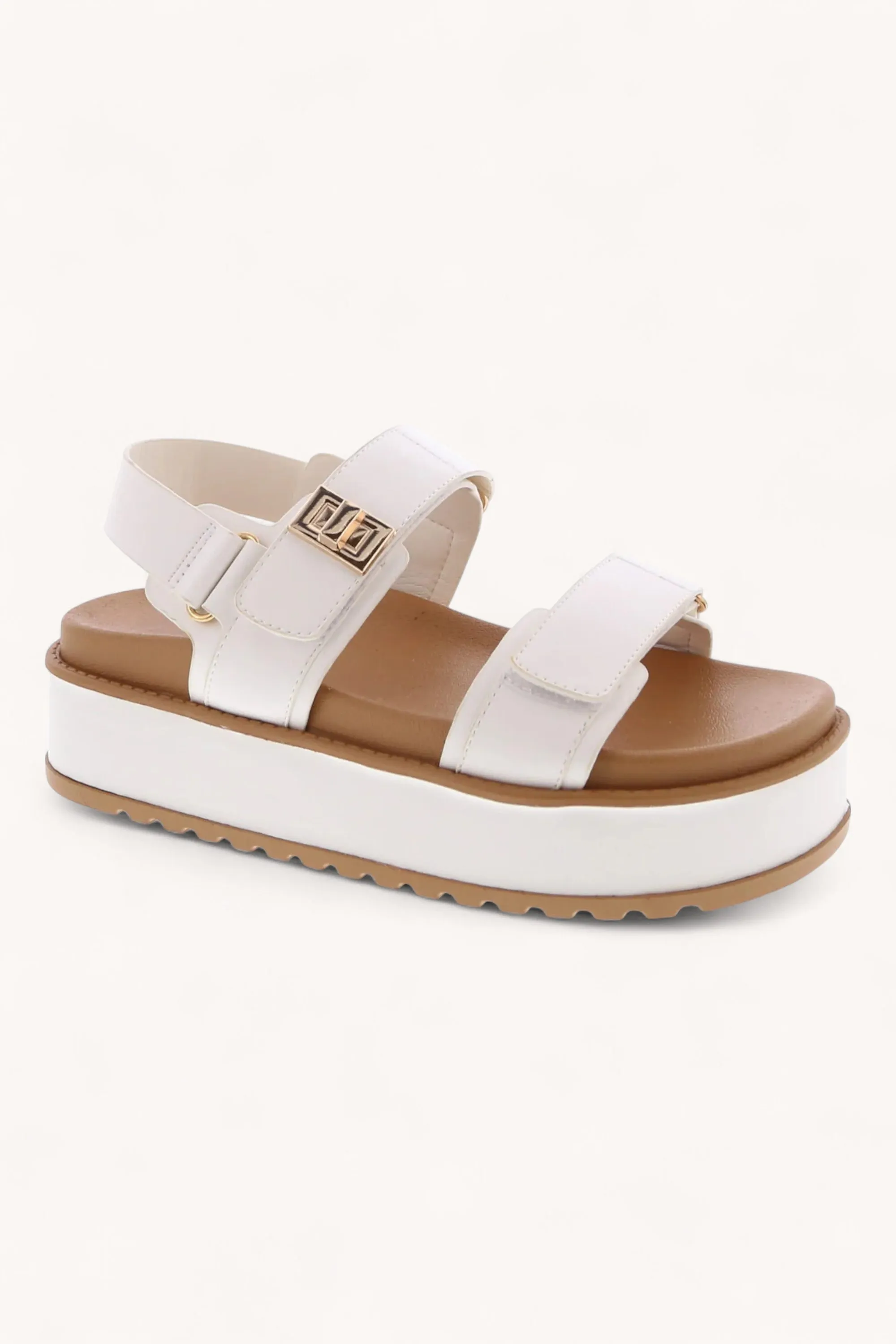 TRACI-1 sold by CCOCCI product image thumbnail 2