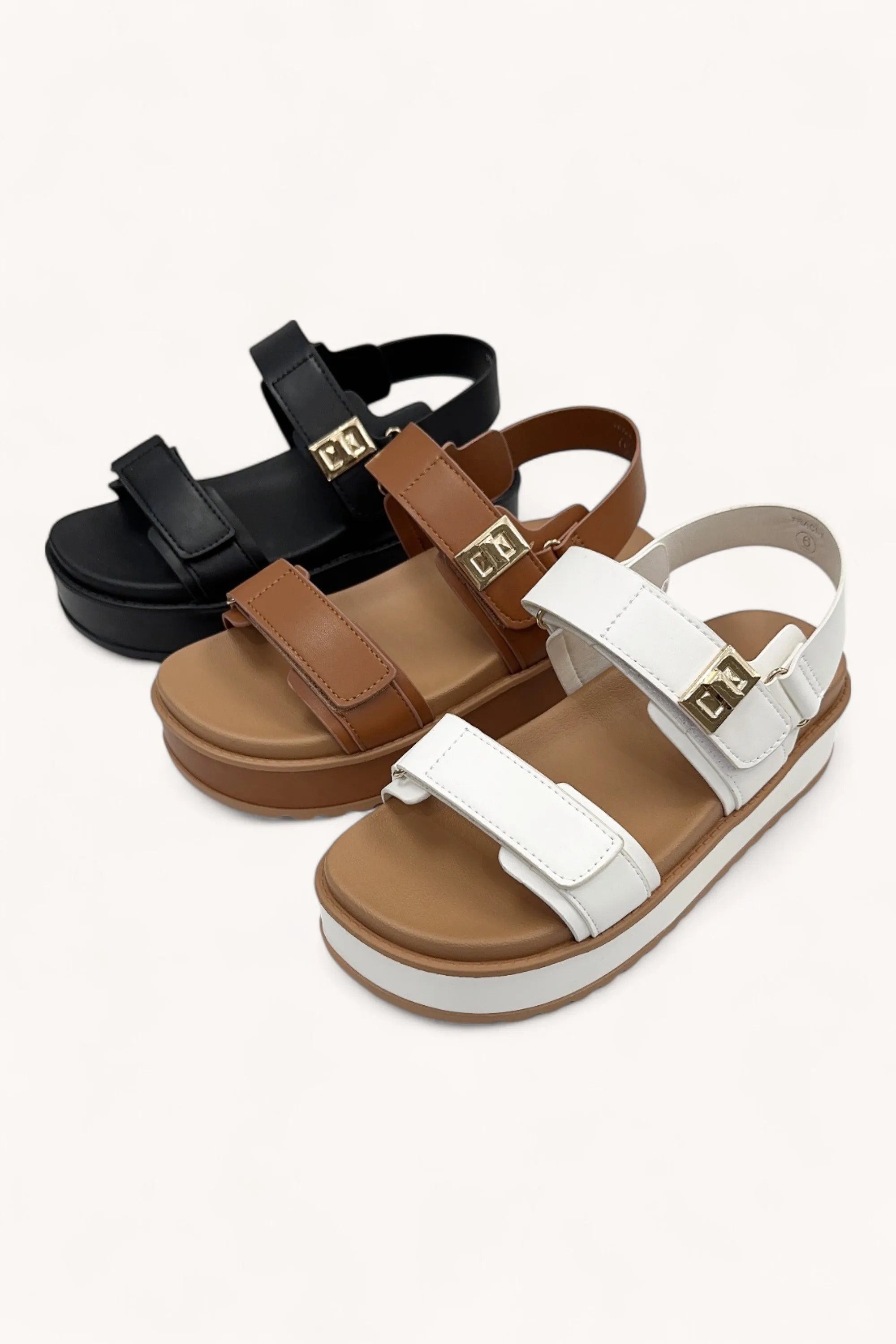 TRACI-1 sold by CCOCCI