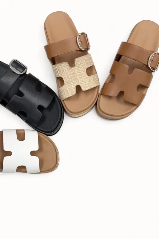 TRACI-25 sold by CCOCCI