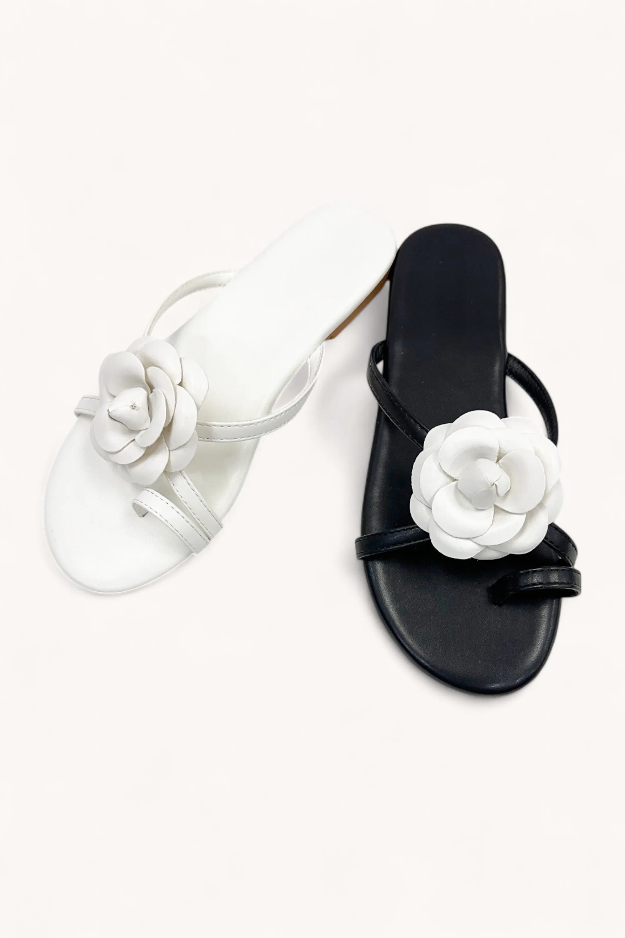 GRACE-9_1 sold by CCOCCI product image thumbnail 5