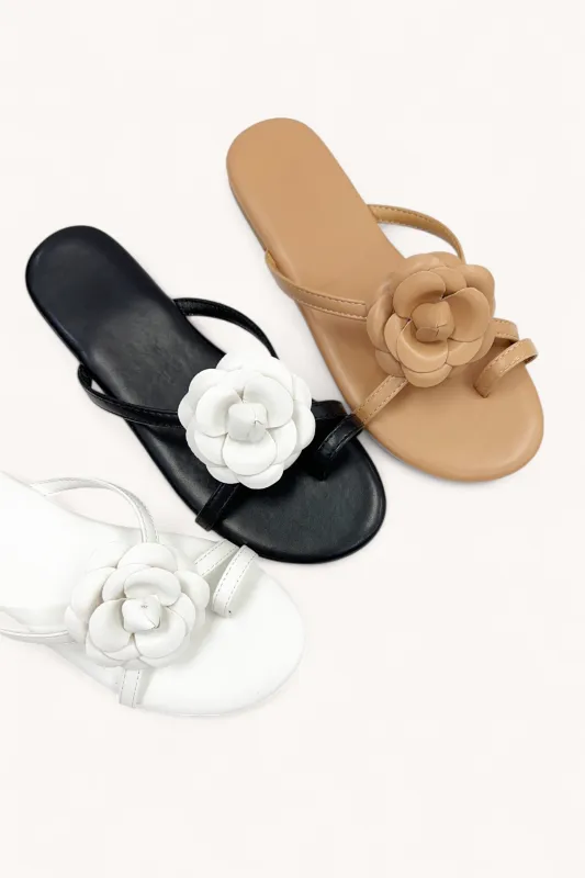 GRACE-9_1 made by CCOCCI